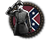 GFX_decision_category_usa_honor_the_confederacy